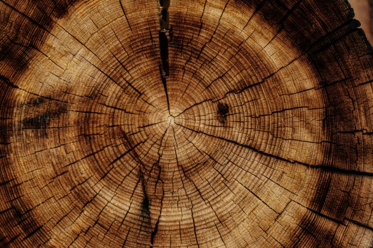 Bereich Holz